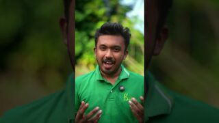 ක්‍රමේ දන්නවනම් වගා ලේසියි