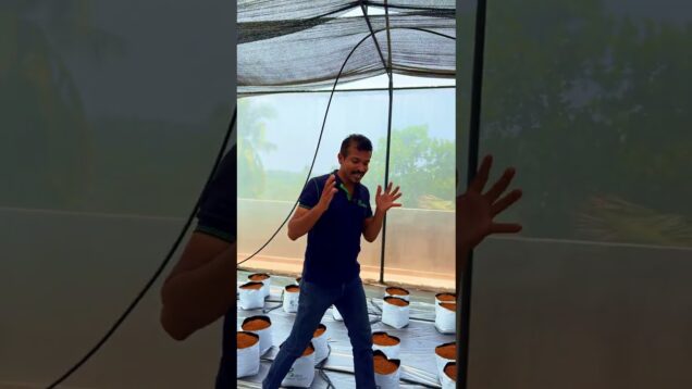 මම අහස ජය ගන්න හැටි කියල දෙන්නම්