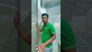 කුණාටු පිට කුණාටු ආවත් මේව හෙල්ලෙන්නෙ නෑ