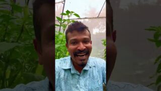 මේ වගේ සතුටක් ලබන්න නම් වගා කරන්නම ඕනෙ