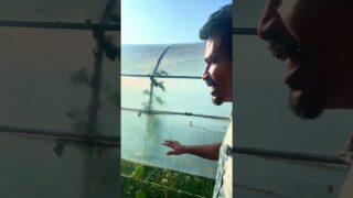 යාපනේ වගා