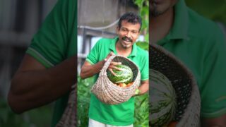 ඔයත් අදම වගා කරන්න පටන් ගන්න