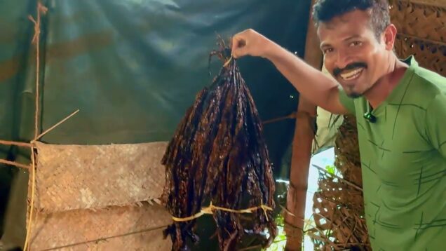 පැනි දුංකොල