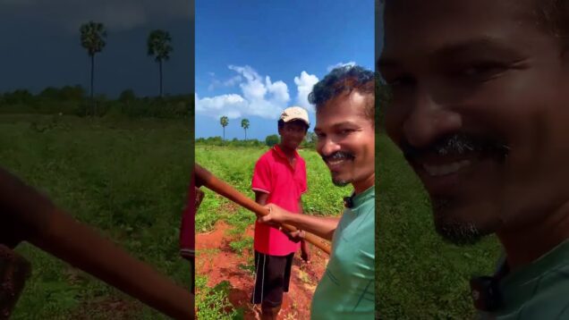 සුපිරි උදැල්ල