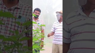 දැනුම නැතුව වගා කරන්න පුලුවන්ද?