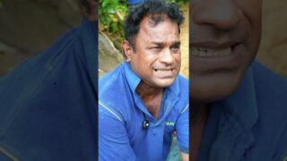 ඇගිල්ල තැලිලද