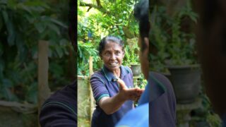 සීනි අමාරුවද