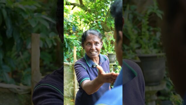 සීනි අමාරුවද