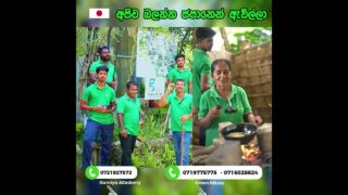 ජපානෙන් ඇවිල්ලා අතට අහූ උනේ පොල්ලක්