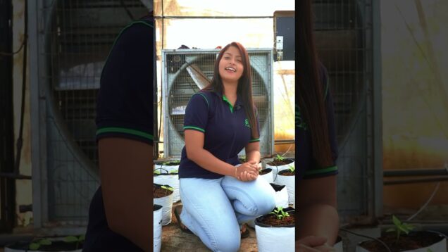 business කරන්න බය වෙන්න එපා