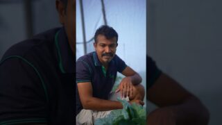 හිටපුගමන් මම අමුවෙන් කනවා