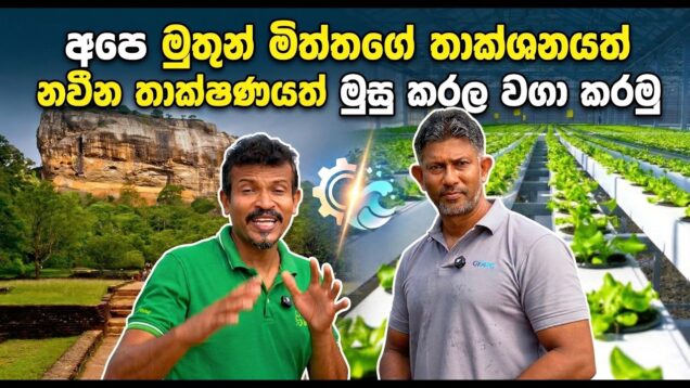 අපෙ මුතුන් මිත්තගේ නවීන තාක්ෂණයත් මුසු කරල වගා කරමු