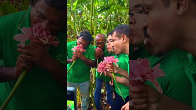 See you next life , දයා , සුභ ගමන් 🥲