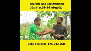 https://school.lokubusiness.lk/p/how-to-become-a-millionaire-agri-entrepreneur