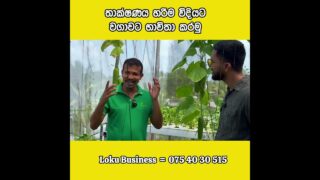 Loku Business න්හඳුන්වාදෙන මිලියන ගනන් උපයන කෘෂි ව්‍යවසායකයෙකු වන මඟ සජීවිව සහතික පත්‍ර පාඨමාලාව