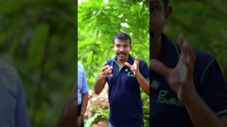 දයා අපෙන් ගියා , මිනිස්සු වෙනුවෙන් අපි සෞඛ්‍ය දන්සලක්