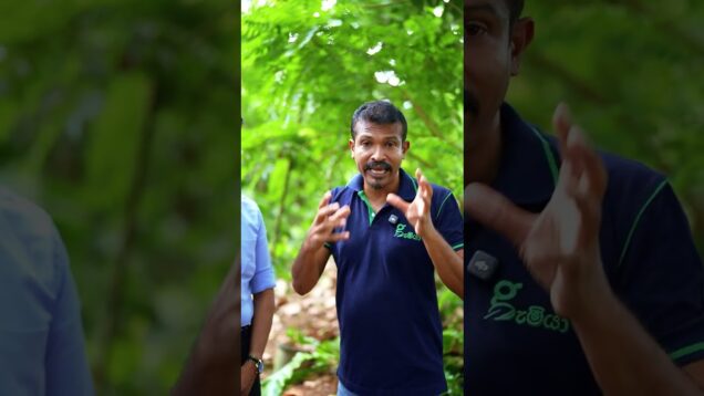 දයා අපෙන් ගියා , මිනිස්සු වෙනුවෙන් අපි සෞඛ්‍ය දන්සලක්