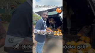 දෙවියනේ පුදුම රස්නයක්