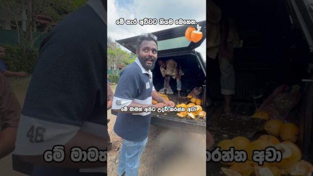 දෙවියනේ පුදුම රස්නයක්