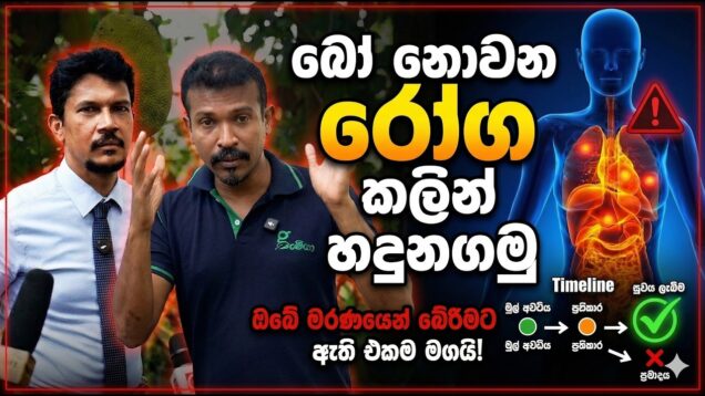 අපි ටික ටික මරණයට ළගා කරන බෝනොවන රෝග මුල් අවදියේම හදුනාගමු