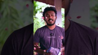 ආයෙ කවදාවත් නොඑන ඒ සුන්දර අතීතය