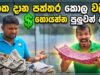 පත්තර කොල වලින් නිශ්පාද කරල ලංකාවට $ ගේන ව්‍යවසායකයා
