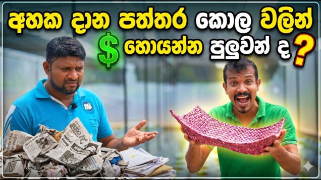 පත්තර කොල වලින් නිශ්පාද කරල ලංකාවට $ ගේන ව්‍යවසායකයා