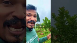 modern agriculture