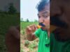 traditional farming vs modern farming