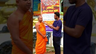 පාදුක්කෙ තියෙන ලොකුම වෙසක් පහන් කූඩුව