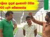 ඉතාලියෙ ඉදන් ලංකාවෙ වවන 5000 sq ft හරිතාගාරය 0719775775