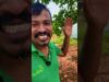 දෙවියනේ ගස් යට කජු පුහුලන් අහක යන හැටි