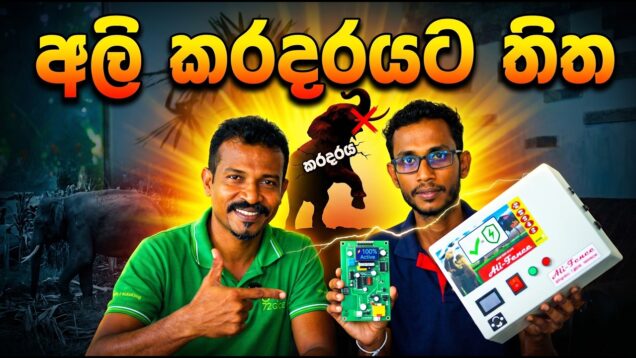 අලියන්ගෙන් පුදුම කරදරයක්ද තීන්නෙ