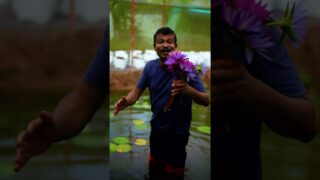 සුභ වෙසක් මංගලයක් වේවා!!