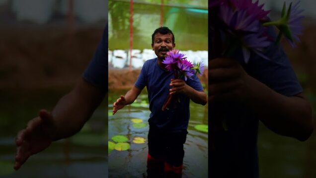 සුභ වෙසක් මංගලයක් වේවා!!