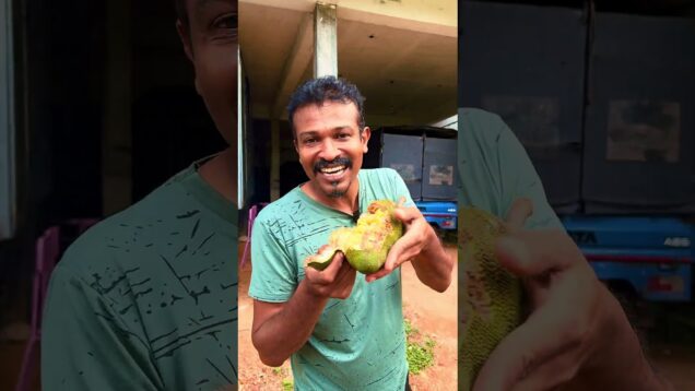 වල් දෙල් මොන රහද