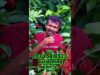 ඔයා මේ දේවල් නොකලොත් ඔයත් එල්නිනෝ ගොදුරක් වෙන්න පුලුවන්