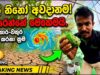 පොහොර ඉතුරු කරගෙන වගා කරන්නෙ මෙන්න මෙහෙමයි