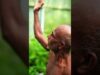 ඔයත් කැමතිද මේ වගේ වගාවක් කරන්න