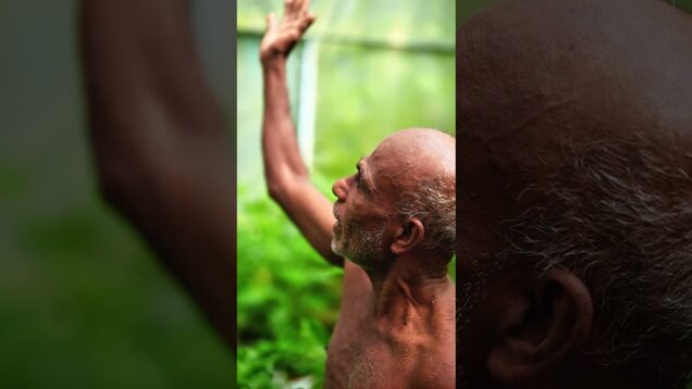 ඔයත් කැමතිද මේ වගේ වගාවක් කරන්න