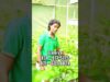 ඔයාල කැමති සැර වැඩියෙන් කන්නද අඩුවෙන් කන්නද