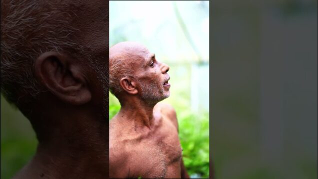 සැරට කන්න ආසනම් කියන්න