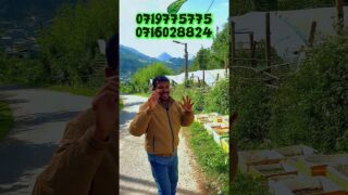 ලාභ ගන්න කරනවනම් මෙන්න වගා