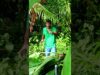 හරියට දැනගෙන වගා කරන්න ඔබත් කැමතිද
