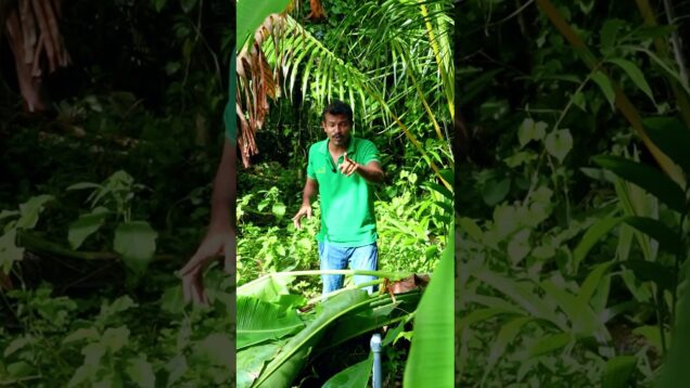හරියට දැනගෙන වගා කරන්න ඔබත් කැමතිද