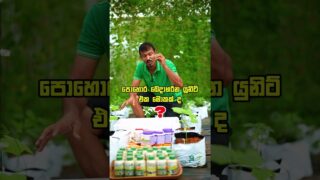 ලක්ෂ ගානක පොහොර නොමිලේ 😮😮
