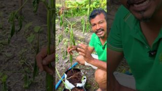 මේ වරද කරන්න එපා