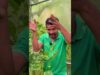 මේ දේ කරොත් ඵලදාව ඩබල් වෙනවා