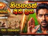 මගා නියගයක් අත ලග දැම්ම සූදානම් වෙන්න