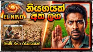 මගා නියගයක් අත ලග දැම්ම සූදානම් වෙන්න